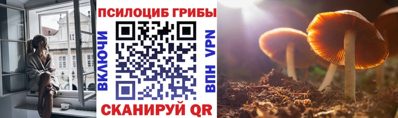 Галлюциногенные грибы прущие грибы Купить закладки Новоалександровск